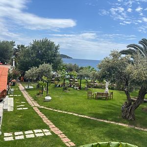 Angeliki Beach Hotel
